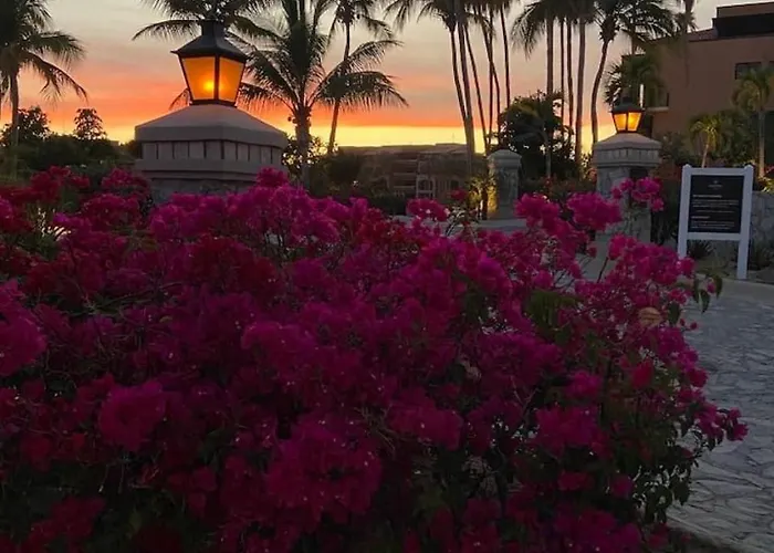 Oceanview Penthouse Casa Del Mar San Jose del Cabo